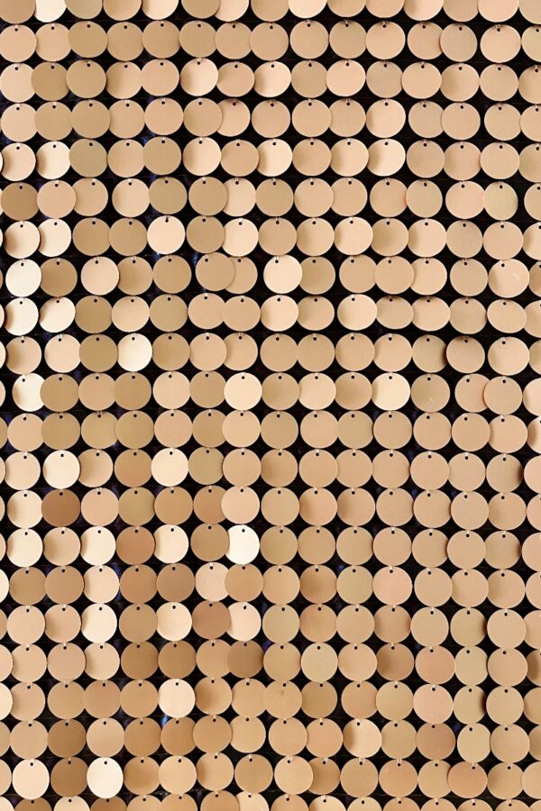 Large Sequins Fabric